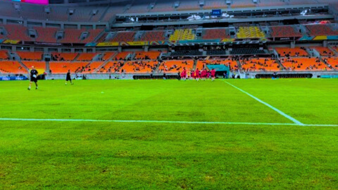 Kondisi rumput Jakarta International Stadium (JIS) pada 14 November 2023. (Foto: PSSI)