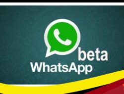 Mengenal WhatsApp Beta Beserta Kelebihan dan Kekurangannya