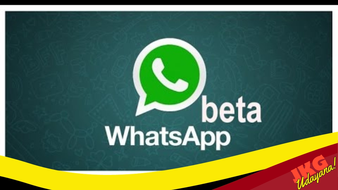 Mengenal WhatsApp Beta Beserta Kelebihan dan Kekurangannya