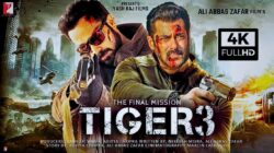 Sinopsis dan Daftar Pemain Film Tiger 3: Lanjutan Kisah Sang Agen Rahasia