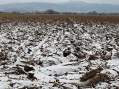 Meteorologi. Hampir -10°C di wilayah tertentu di Alsace