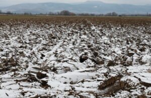 Meteorologi. Hampir -10°C di wilayah tertentu di Alsace