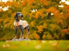 Tennessee Tempatkan Rekor 125 Pada Daftar Kehormatan SEC Musim Gugur