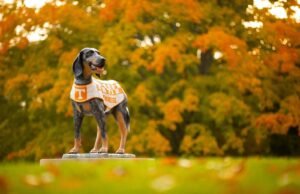 Tennessee Tempatkan Rekor 125 Pada Daftar Kehormatan SEC Musim Gugur