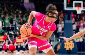 Paket Jatuh di Notre Dame