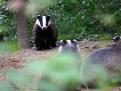 Video. $konten.TitleNoTags