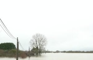 “Wisata banjir”, fenomena berbahaya yang menyertai naiknya permukaan air