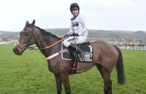 Warna asli Willie Mullins saat dia merencanakan kekecewaan di Constitution Hill | Balapan | Olahraga