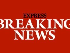 Ikon tinju yang bertarung dalam empat perebutan gelar dunia meninggal pada usia 68 tahun saat penghormatan mengalir | Tinju | Olahraga