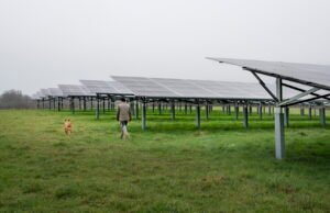 “Saya akan melipatgandakan gaji saya”: di Vienne, bagaimana agrivoltaisme membawa gandum bagi para petani