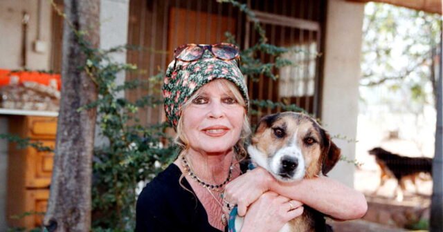 apres-la-mort-de-brigitte-bardot-les-dons-a-sa-fondation-explosent.jpg