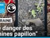 Ukraina: itu "tambang kupu-kupu" Rusia menargetkan warga sipil