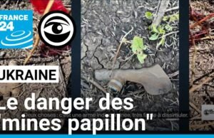 Ukraina: itu "tambang kupu-kupu" Rusia menargetkan warga sipil