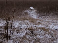 Ukraina: Musk memblokir akses Starlink ke tentara Rusia