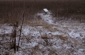 Ukraina: Musk memblokir akses Starlink ke tentara Rusia