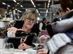 Strasbourg. Dokter, pengacara… Mereka mengubah hidup mereka menjadi petani anggur