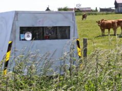 asuransi kendaraan akan otomatis diperiksa