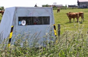 asuransi kendaraan akan otomatis diperiksa