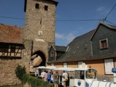 Alsace Reaksi, strategi, ekspektasi… Bagaimana Dambach-la-Ville mempersiapkan diri untuk mewakili wilayah tersebut di acara “Desa Favorit Orang Prancis & Saya