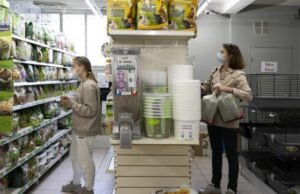 Perusahaan. Penjualan ilegal anjing dan kucing di toko hewan peliharaan: Yayasan 30 juta teman merujuk masalah ini ke Dewan Negara