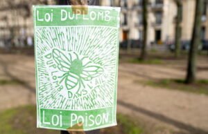 Pertanian. Acetamiprid tidak akan muncul dalam RUU darurat pertanian, menteri meyakinkan