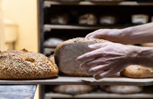 Televisi. Sepuluh pengrajin Alsatia mencalonkan diri sebagai “Toko roti terbaik di Prancis”