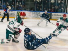 Hoki Es – Liga Magnus. Kesenjangan meledak sebelum derby, lanjut Grenoble… semua hasil hari ke-41