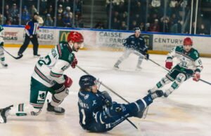 Hoki Es – Liga Magnus. Kesenjangan meledak sebelum derby, lanjut Grenoble… semua hasil hari ke-41