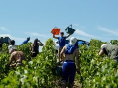 hukuman penjara dikukuhkan pada tingkat banding atas perdagangan manusia