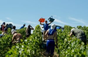 hukuman penjara dikukuhkan pada tingkat banding atas perdagangan manusia