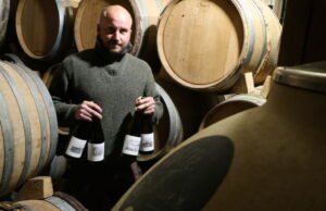 juga. Cakrawala baru “Vin de France”