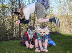 Video. $konten.TitleNoTags