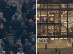 Tottenham mencapai titik terendah baru ketika massa penggemar meninggalkan babak pertama setelah bencana Crystal Palace | Sepak Bola | Olahraga