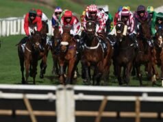 Kuda Cheltenham HMS Seahorse mati dalam tragedi kedua Festival dalam dua hari | Balapan | Olahraga