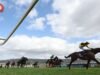 Perselisihan rasisme Cheltenham: Apa yang dikatakan? Apa yang terjadi selanjutnya? Apa yang kita ketahui | Balapan | Olahraga