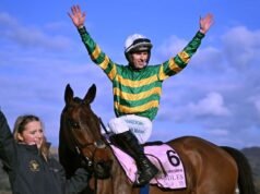 Enam ahli menyampaikan pendapat mereka saat tembakan 16-1 diinginkan di Piala Emas Cheltenham | Balapan | Olahraga