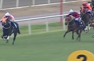 Horor saat kuda pacuan dimasak dan disajikan di dapur umum setelah cedera balapan | Balapan | Olahraga