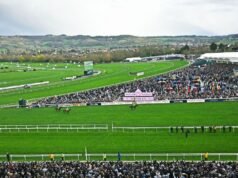 Kuda Cheltenham Saint Le Fort mati saat Festival diguncang kematian kedua | Balapan | Olahraga