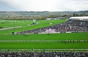 Kuda Cheltenham Saint Le Fort mati saat Festival diguncang kematian kedua | Balapan | Olahraga