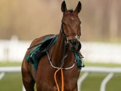 Setiap kematian kuda Festival Cheltenham saat balap berduka pada Hari Piala Emas | Balapan | Olahraga