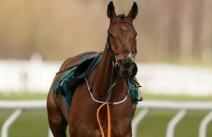 Setiap kematian kuda Festival Cheltenham saat balap berduka pada Hari Piala Emas | Balapan | Olahraga