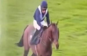 Joki dilarang setelah menunggang kuda yang ‘tidak menyenangkan’ ‘tanpa memberi lagi’ | Balapan | Olahraga