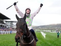 Penumpang Cheltenham memenangkan ‘salah satu taruhan terbesar sepanjang masa’ dan mendapatkan £483k | Balapan | Olahraga