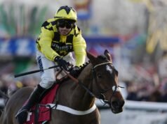 Pelatih Grand National mengumumkan kematian tragis kuda bintang | Balapan | Olahraga