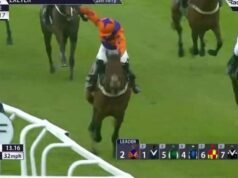 Joki terkena larangan setelah mencambuk kuda yang didiskualifikasi melebihi batas | Balapan | Olahraga