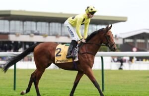 Joki pacuan kuda mendapat larangan setelah melawan dokter hewan | Balapan | Olahraga