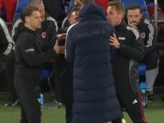 Craig Bellamy dan Edin Dzeko bentrok di pinggir lapangan saat play-off Piala Dunia berakhir dengan kekacauan | Sepak Bola | Olahraga