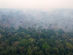 Pemberantasan penggundulan hutan, pengurangan emisi gas rumah kaca 67%… Di Brasil, Lula meluncurkan rencana baru untuk melawan pemanasan global