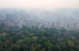 Pemberantasan penggundulan hutan, pengurangan emisi gas rumah kaca 67%… Di Brasil, Lula meluncurkan rencana baru untuk melawan pemanasan global