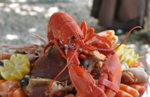 Lobster, iPad… Di Departemen Pertahanan Amerika, pers mengecam salah urus